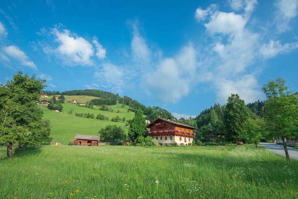 Апартаменти Bauernhof Auhof Ваграйн Екстер'єр фото